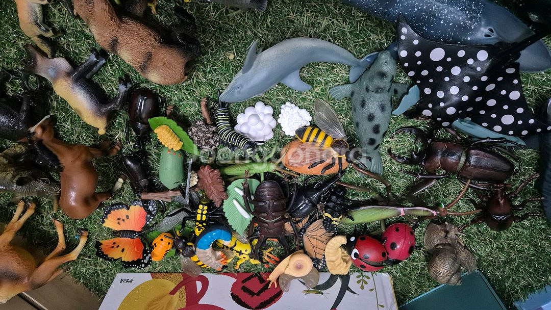 동물피규어 뮤고랑--3