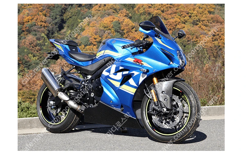 GSX-R1000 GSX-R1000R 17-24언더카울 이미지