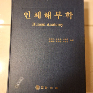 # 인체해부학 Human Anatomy