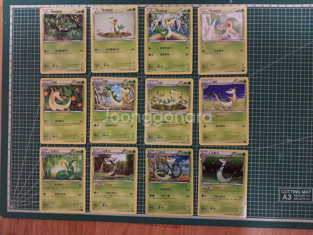 포켓몬카드 주리비얀,샤비,샤로다 일반카드 12종 일괄--0