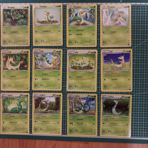 포켓몬카드 주리비얀,샤비,샤로다 일반카드 12종 일괄