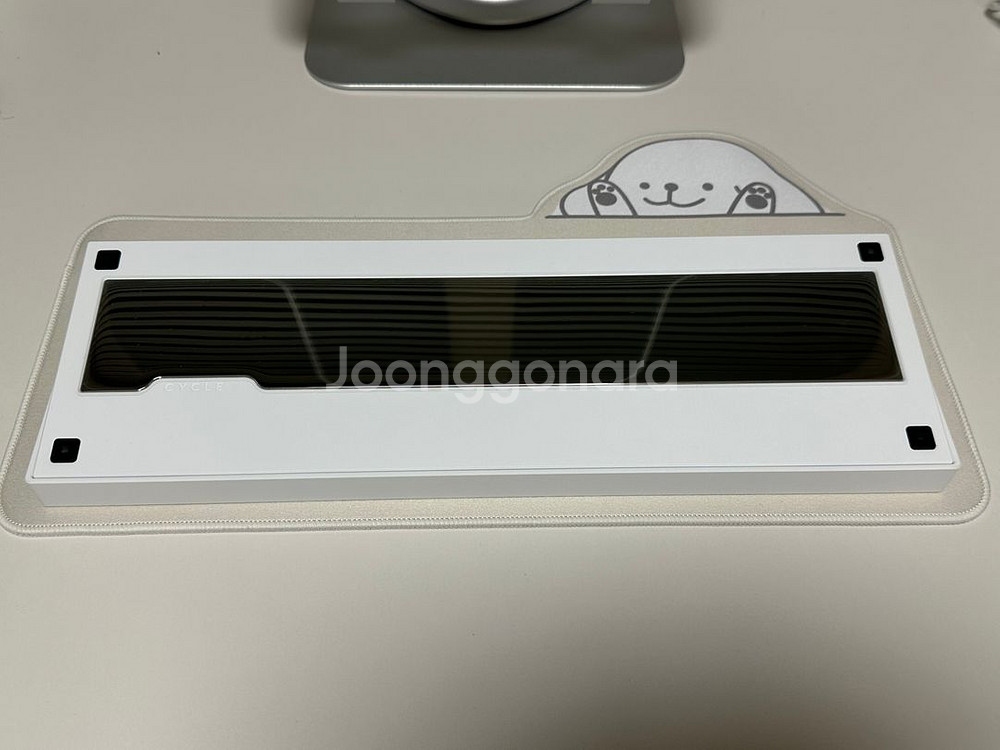 cycle7(싸이클7) wk 크림 무하자--4