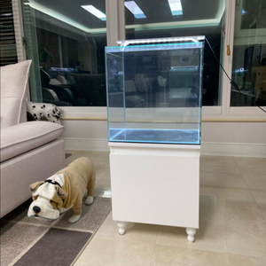 (경기 북부) 프리미엄 올디아망 45큐브 수조 6T 축