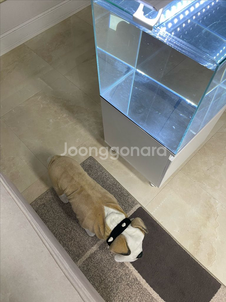 (경기 북부) 프리미엄 올디아망 45큐브 수조 6T 축--6