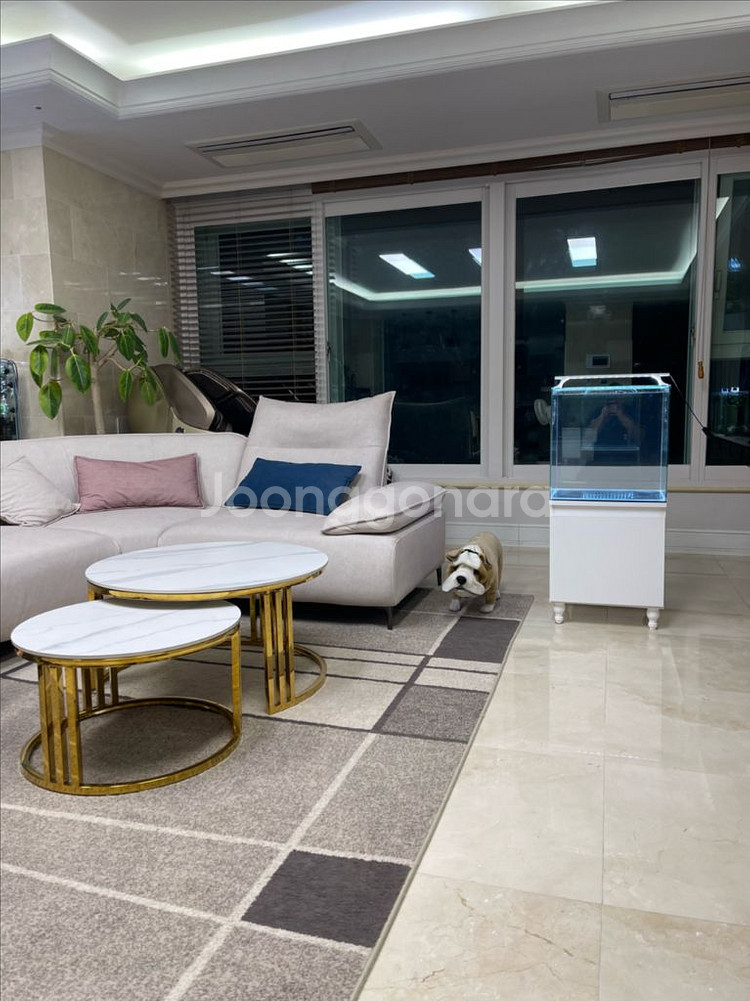 (경기 북부) 프리미엄 올디아망 45큐브 수조 6T 축--8