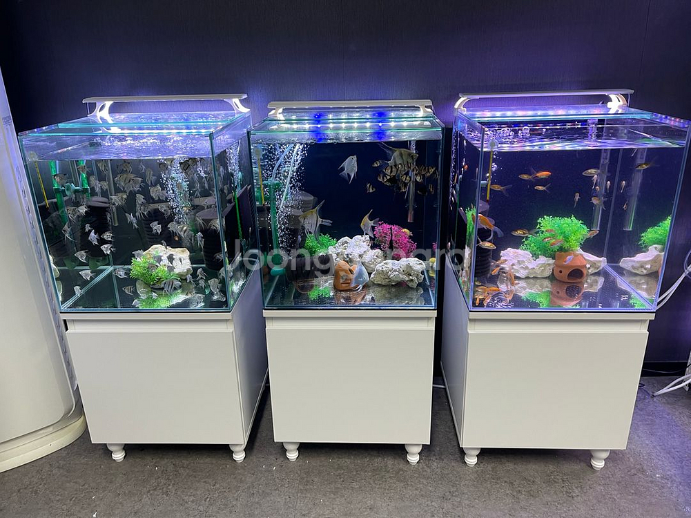 (경기 북부) 프리미엄 올디아망 45큐브 수조 6T 축--9