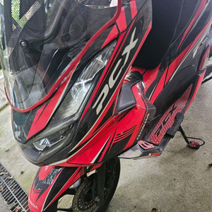 pcx125 22년식판매