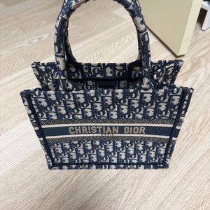 디올 오블리크 미니 토트백