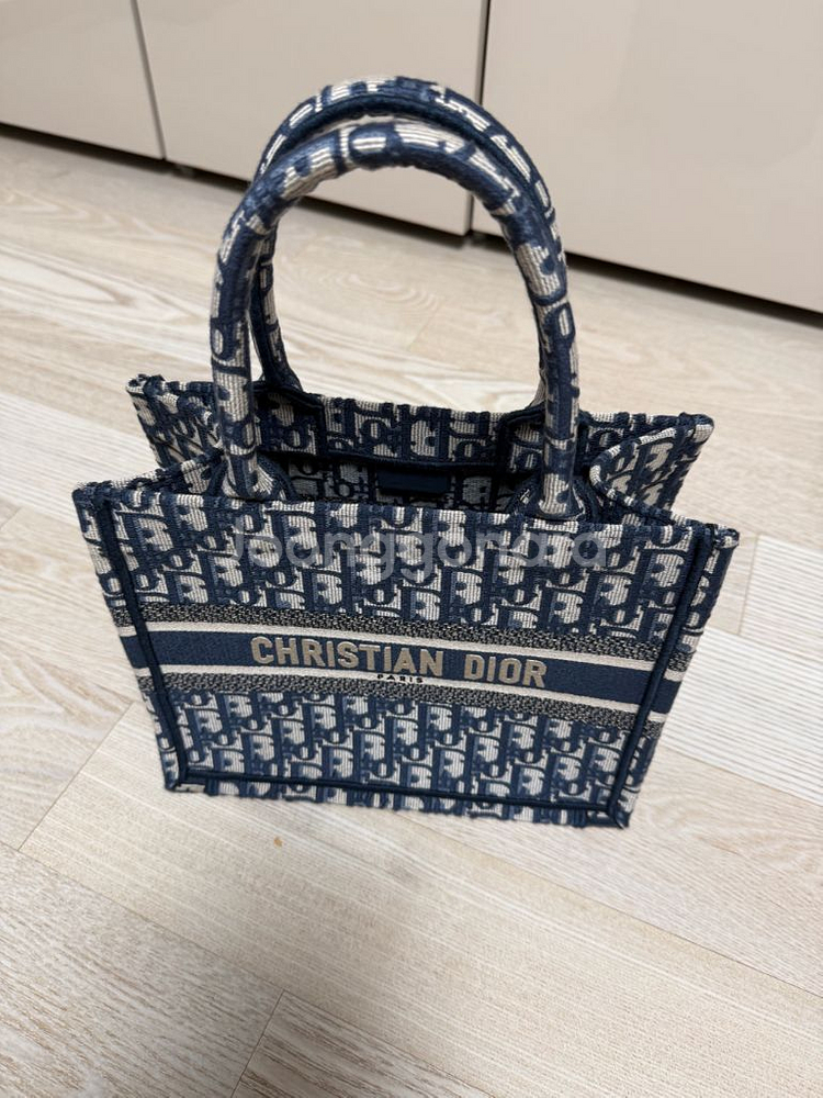 디올 오블리크 미니 토트백--1