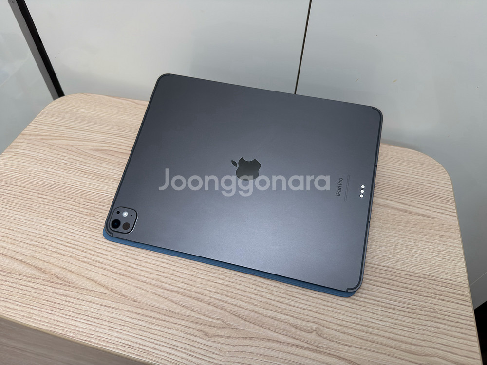 아이패드 프로 13인치 M4 셀룰러 256GB 펜슬프로--2