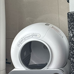고양이자동화장실