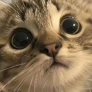단순어플가입삽니다