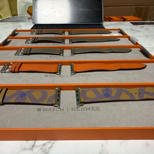애플워치 에르메스 스트랩 에뚜브(에토프), 오랑쥬