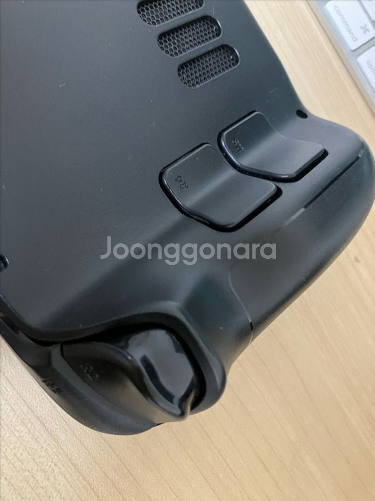 스팀덱lcd 512기가--5