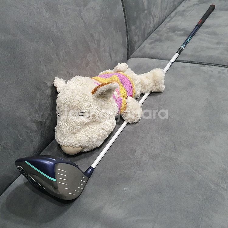 핑 GLE 여성용 드라이버(11.5도 L샤프트) 중고--9