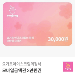 요거트아이스크림의정석3만원