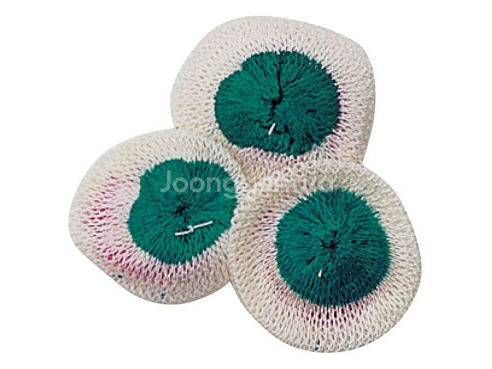 스노우피크 기가파워 BF 캠핑 랜턴 (정품 풀박스)--1