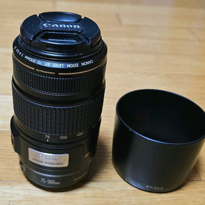 캐논 75-300mm 줌렌즈