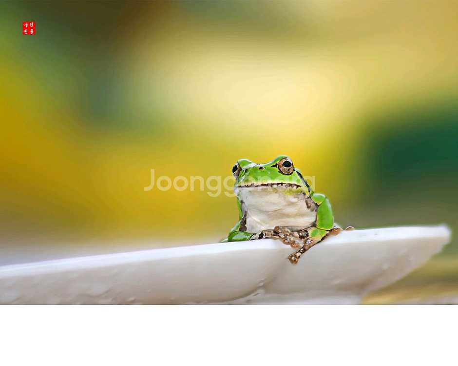 캐논 75-300mm 줌렌즈--1