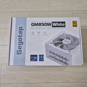 ATX 3.1 파워: Segotep GM850W 골드