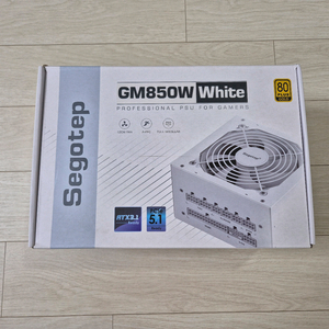 ATX 3.1 파워: Segotep GM850W 골드