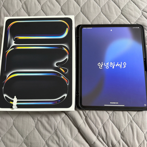 아이패드프로 13 M4 512GB 셀룰러