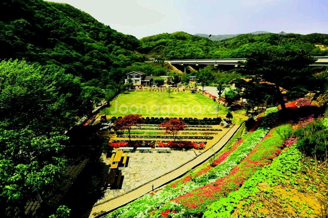 담서원(에어비앤비 인기숙소) 숙박 숙소 여행 관광 캠핑--1