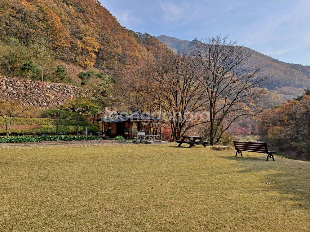 담서원(에어비앤비 인기숙소) 숙박 숙소 여행 관광 캠핑--4