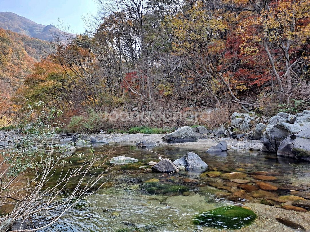 담서원(에어비앤비 인기숙소) 숙박 숙소 여행 관광 캠핑--5