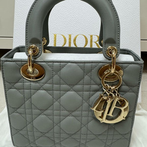 디올 레이디백 스몰