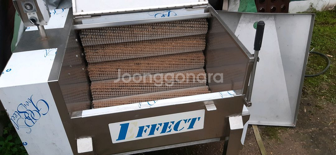 구근류세척기 도라지등세척기--0