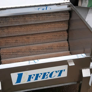 구근류세척기 도라지등세척기