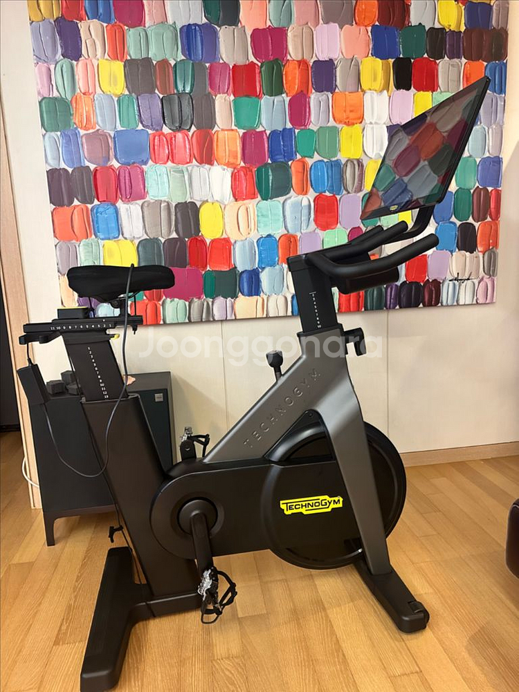 테크노짐 명품 스핀 바이크--0