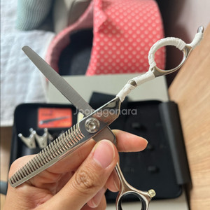 일본 토기야 명장 틴닝가위