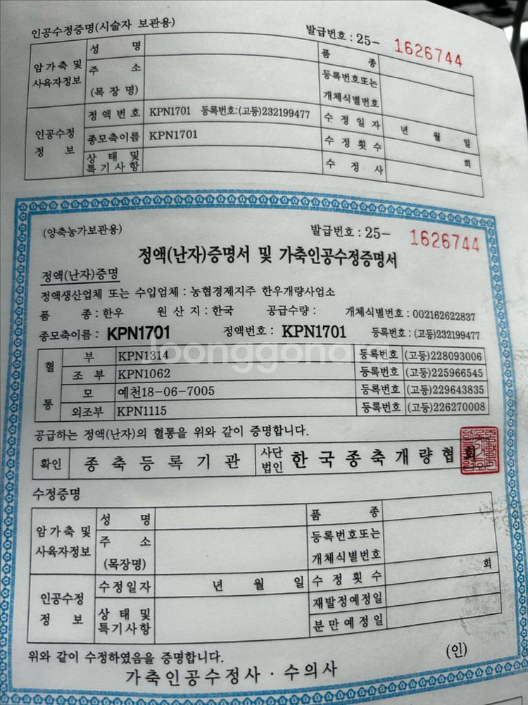 한우정액 kpn-1701--0
