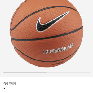 나이키 하이퍼 엘리트