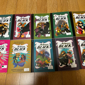 프린세스 인 블랙 The Princess in Blac