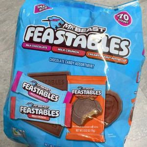 미스터비스트 초콜렛 미니사이즈 70개입