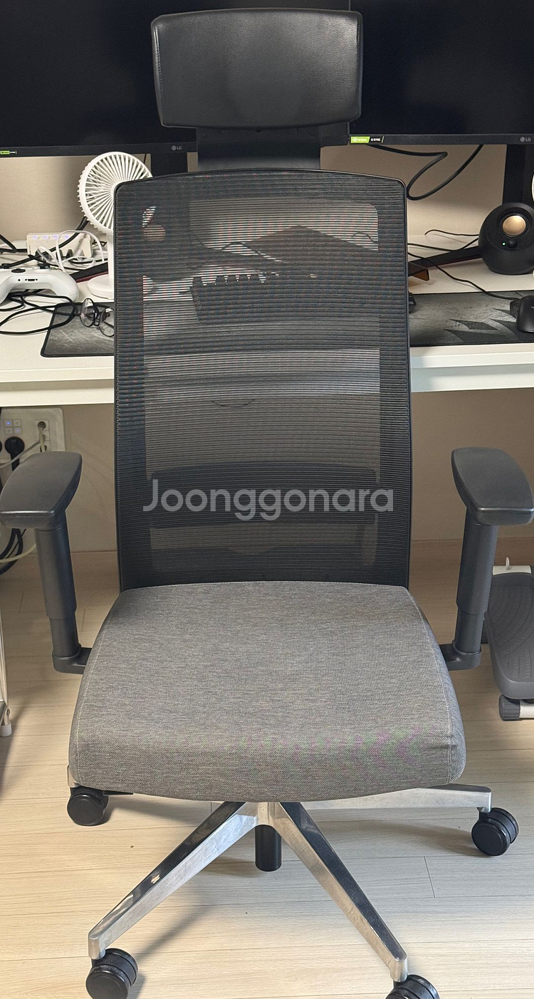 듀오백 컴퓨터 의자 (애쉬그레이)--0