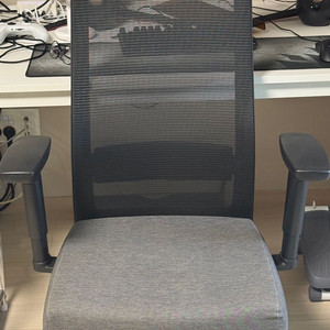 듀오백 컴퓨터 의자 (애쉬그레이)