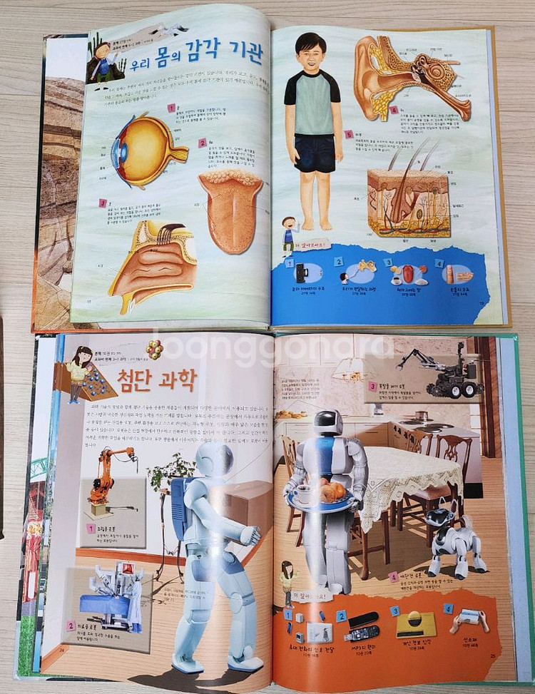 교원 빨간펜 눈으로보는과학+ DVD 최신개정판--6