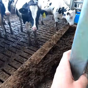 한우정액판매(KPN1726,1740)