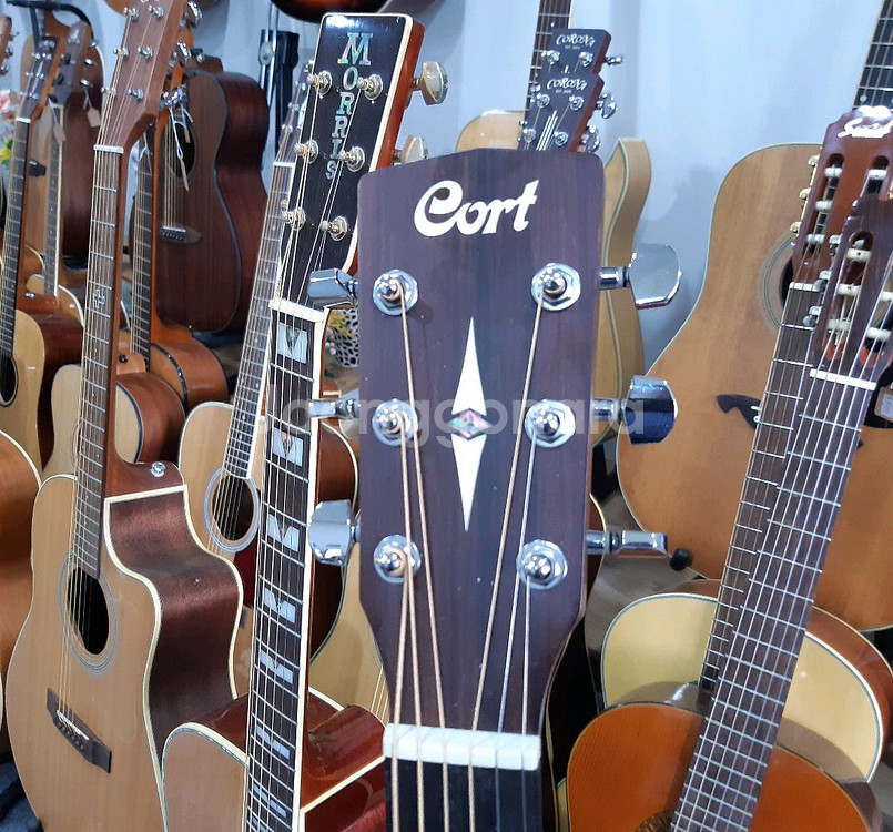 콜트 어쿠스틱 통기타 어스 70 탑솔--3