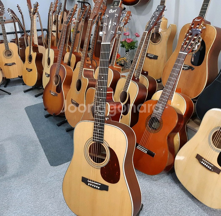 콜트 어쿠스틱 통기타 어스 70 탑솔--1