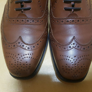 처치스 더블몽크 6.5 / 트리커즈 윙팁 6