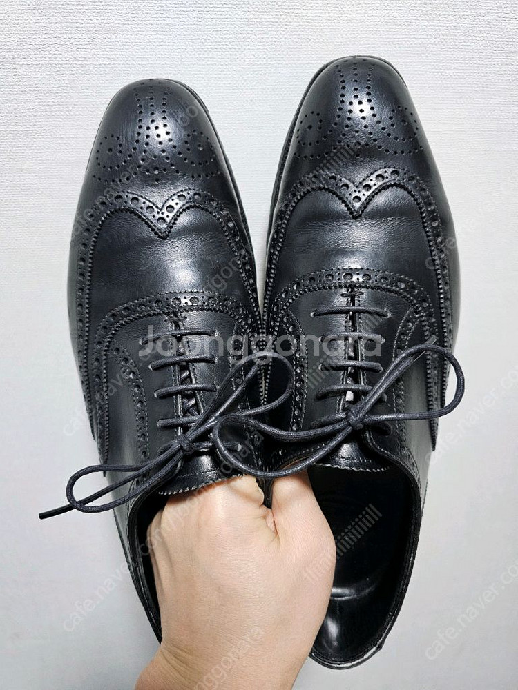 크로켓 오드리 6.5 클리포드 6 / 처카부츠--4