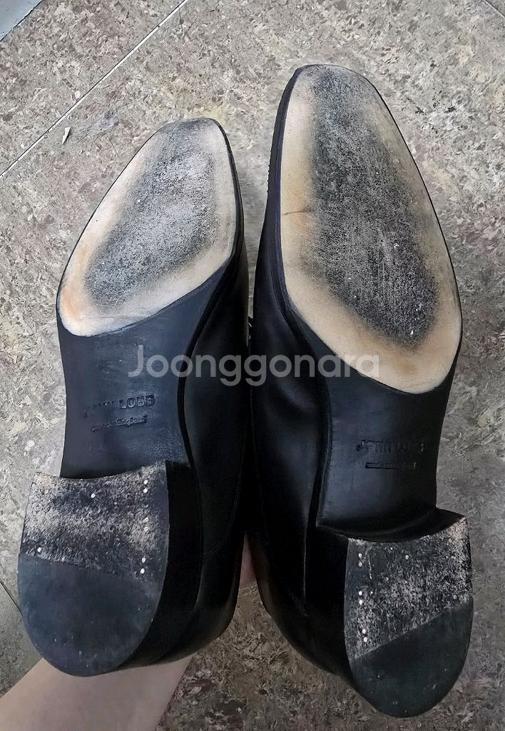 앤써니 클레버리 보디 6.5 / 존롭 프레스티지 아처 6.5--6