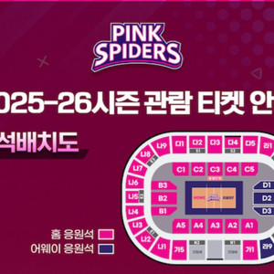 10월18일 흥국생명 정관장 여자배구