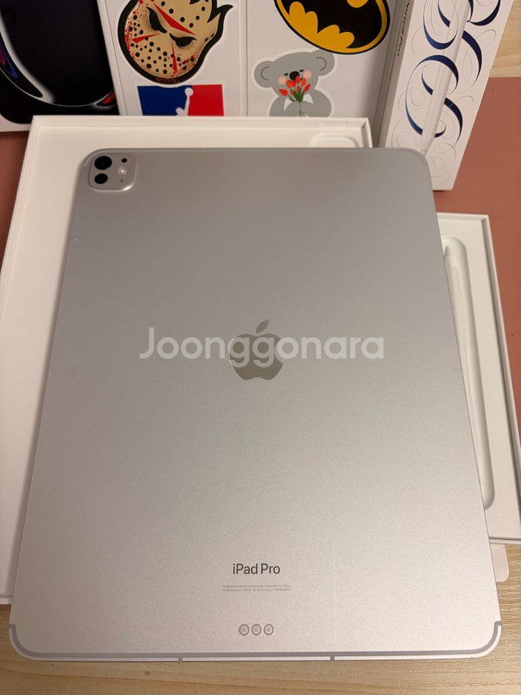 아이패드 프로 m4 13인치 256기가 셀룰러 풀박스--1