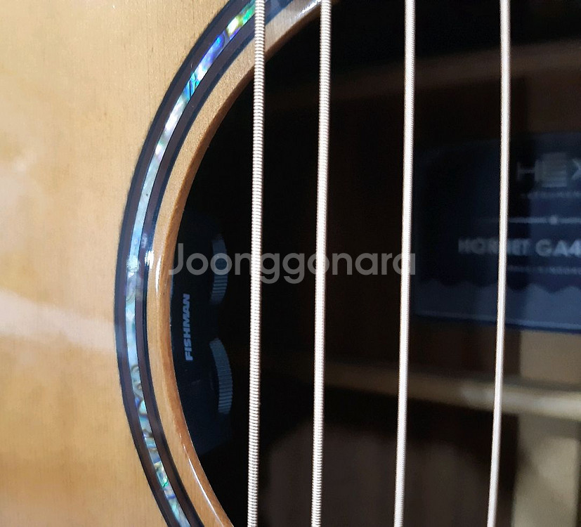 헥스 어쿠스틱 픽업 통기타 GA400CE--3